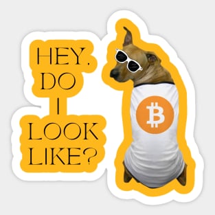 Do I look like? Sticker